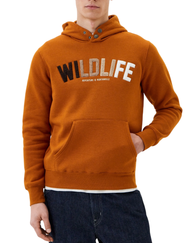 Худи с логотипом мужское Фото Худи с логотипом мужское