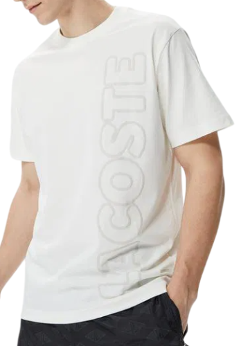 Футболка с логотипом мужская Фото Футболка с логотипом мужская