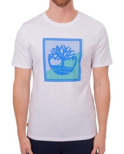 Футболка мужская из хлопка Фото Футболка мужская из хлопка