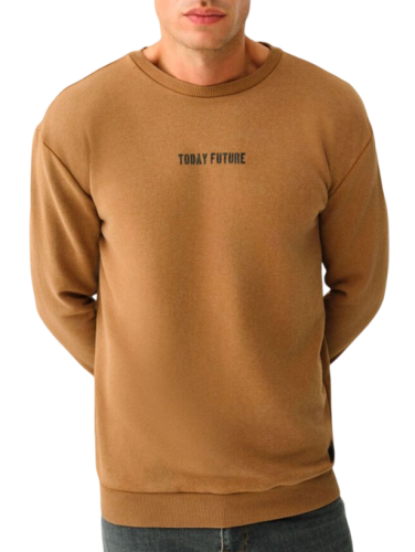 Свитшот с принтом мужской Фото Свитшот с принтом мужской