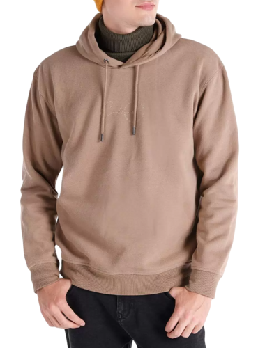 Худи с логотипом мужское Фото Худи с логотипом мужское