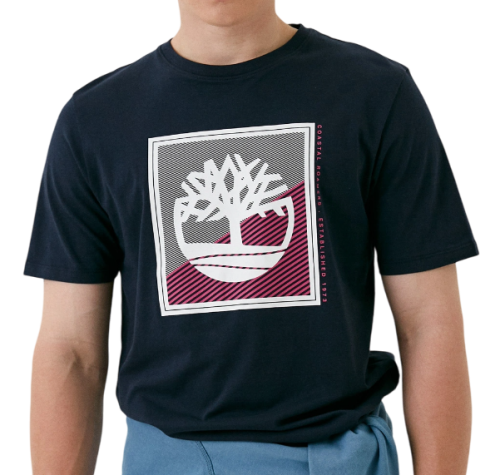 Футболка с принтом мужская Фото Футболка с принтом мужская