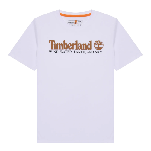 Футболка с принтом мужская Фото Футболка с принтом мужская