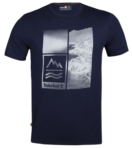 Футболка с принтом мужская Фото Футболка с принтом мужская