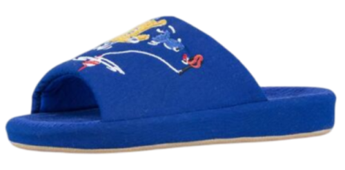 Фото Тапочки открытые для мальчика