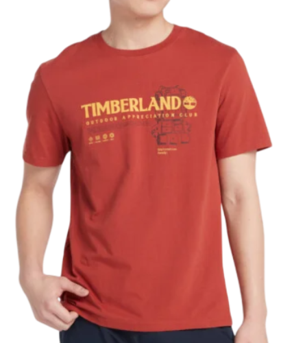 Футболка с принтом мужская Фото Футболка с принтом мужская