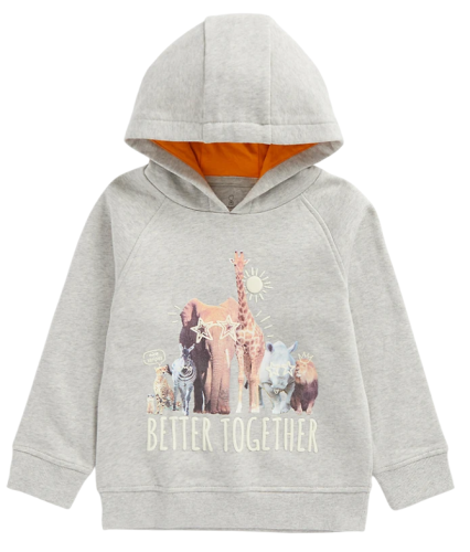 Фото Толстовка с капюшоном детская