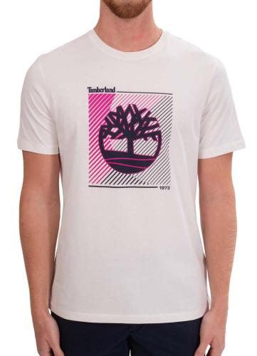 Футболка с принтом мужская Фото Футболка с принтом мужская