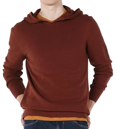 Джемпер с капюшоном мужской / Коричневый / 46 Джемпер с капюшоном мужской / Коричневый / 46