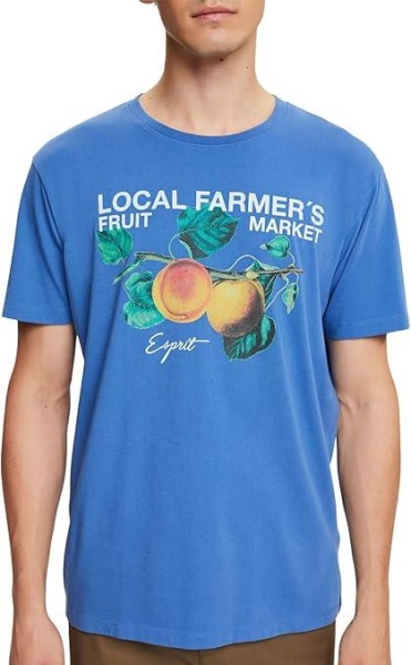 Футболка с принтом мужская / Синий / 50 Футболка с принтом мужская / Синий / 50