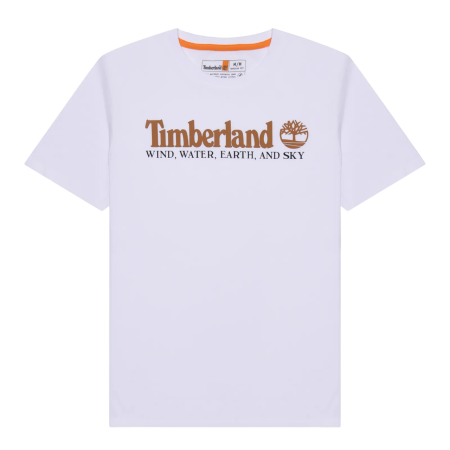 Футболка с принтом мужская / Белый / 46 Футболка с принтом мужская / Белый / 46