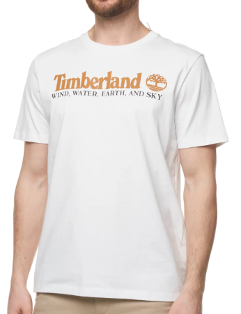 Футболка с принтом мужская / Белый / 46 Футболка с принтом мужская / Белый / 46