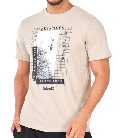 Футболка с принтом мужская / Бежевый / 46 Футболка с принтом мужская / Бежевый / 46
