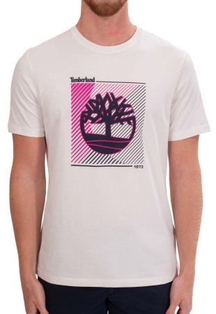 Футболка с принтом мужская / Белый / 46 Футболка с принтом мужская / Белый / 46