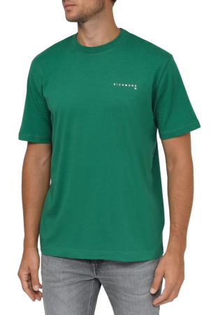 Футболка с принтом мужская / Зеленый / 46 Футболка с принтом мужская / Зеленый / 46