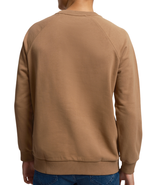 Свитшот с принтом мужской / Коричневый / 50 Свитшот с принтом мужской / Коричневый / 50