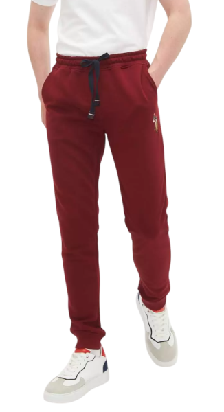 Брюки с логотипом мужские / Бордовый / 46 Брюки с логотипом мужские / Бордовый / 46