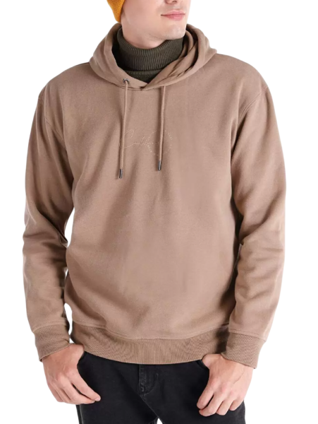 Худи с логотипом мужское / Бежевый / 54 Худи с логотипом мужское / Бежевый / 54