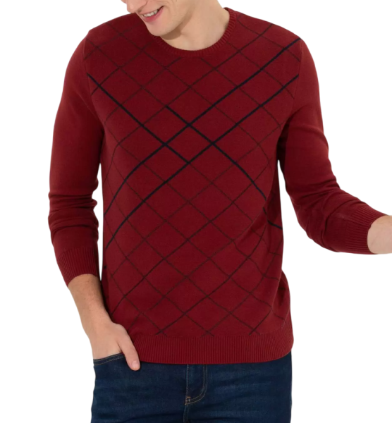 Джемпер с принтом мужской / Красный / 46 Джемпер с принтом мужской / Красный / 46