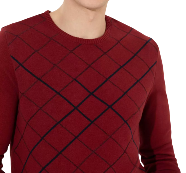 Джемпер с принтом мужской / Красный / 46 Джемпер с принтом мужской / Красный / 46