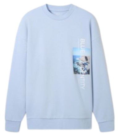 Свитшот с принтом мужской / Синий / 48 Свитшот с принтом мужской / Синий / 48