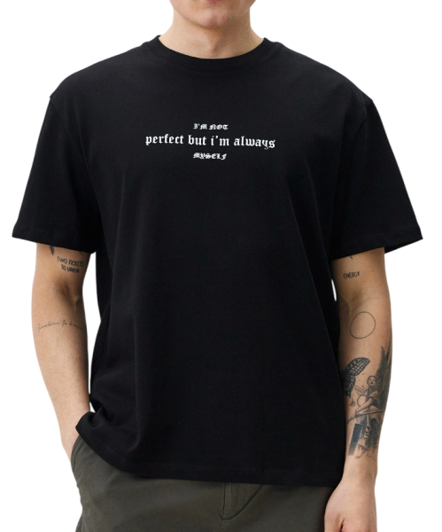 Футболка хлопковая мужская  / Черный / 52 Футболка хлопковая мужская  / Черный / 52