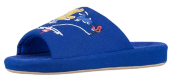 Тапочки открытые для мальчика / Синий / 37