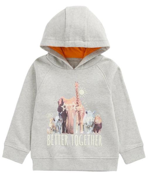 Толстовка с капюшоном детская / Серый / 110