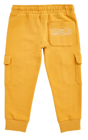 Брюки спортивные для мальчика / Желтый / 104