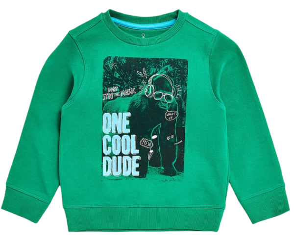 Свитшот с принтом для мальчика / Зеленый / 122