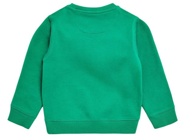 Свитшот с принтом для мальчика / Зеленый / 122